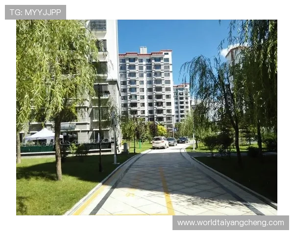 太阳贵宾城进不去的网络连接问题及优化技巧详解 太阳贵宾城进不去的网络连接问题及优化技巧详解