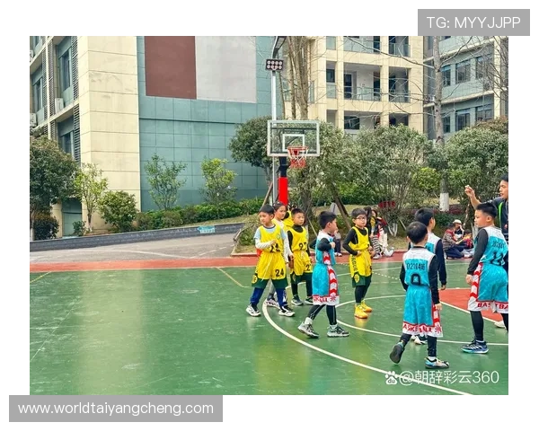 太阳篮球生活：融入阳光篮球生活方式，享受运动带来的健康与快乐