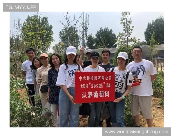 太阳集团城官网官方平台提供的最新优惠活动和会员福利详细介绍