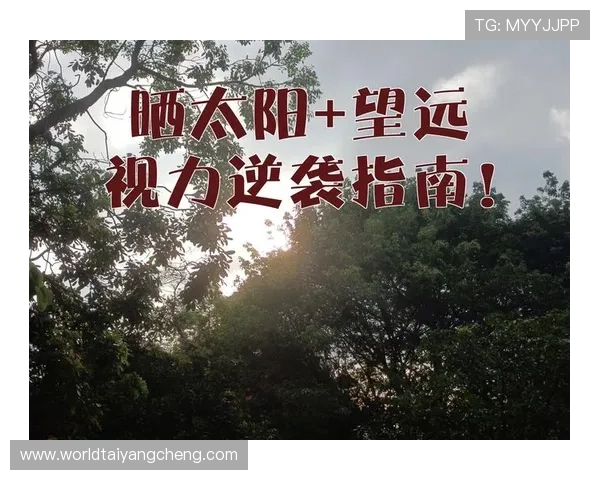 太阳集团网站入口在哪最新官方入口地址介绍与访问指南